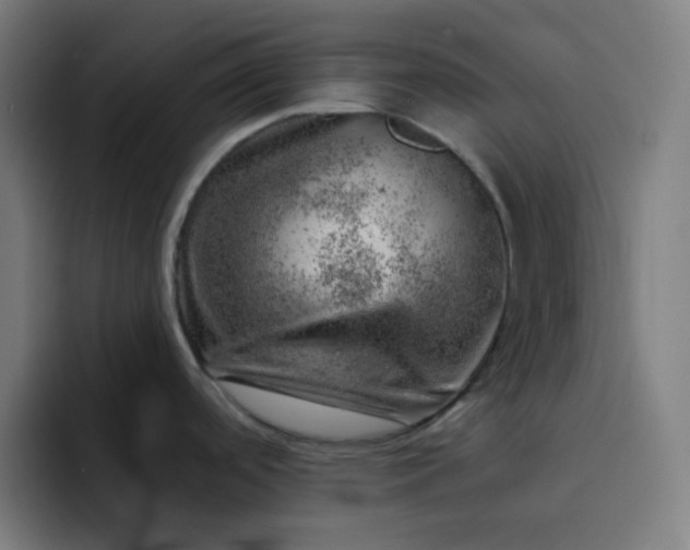 X0000093211488200710101317