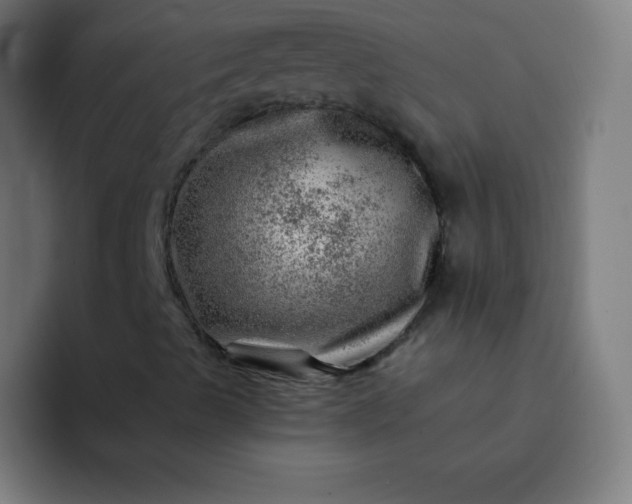 X0000093211489200710101316