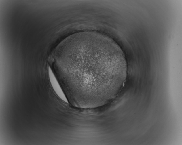 X0000093211490200710101316