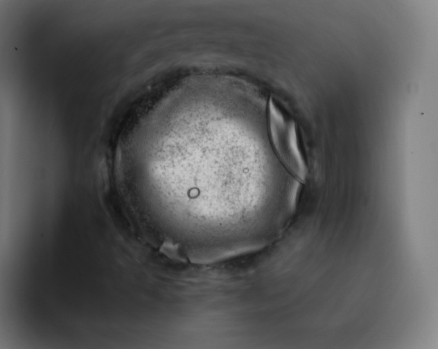 X0000093211493200710101316