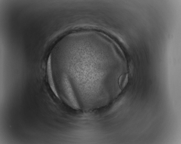 X0000093211494200710101316