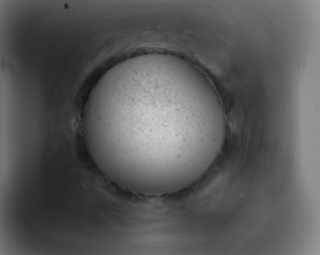 X0000093211495200710101316