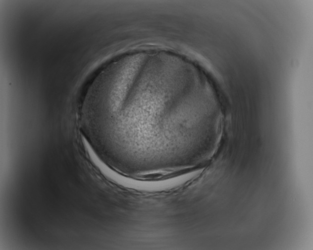 X0000093211496200710101316