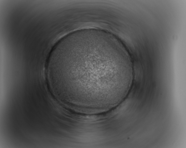 X0000093211497200710101316