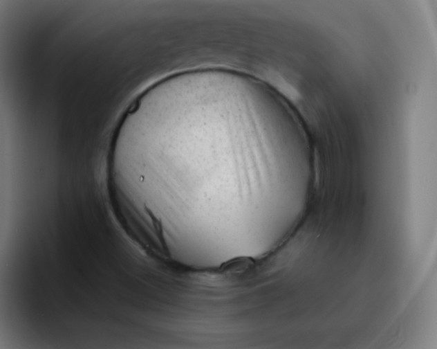 X0000093211500200710101316