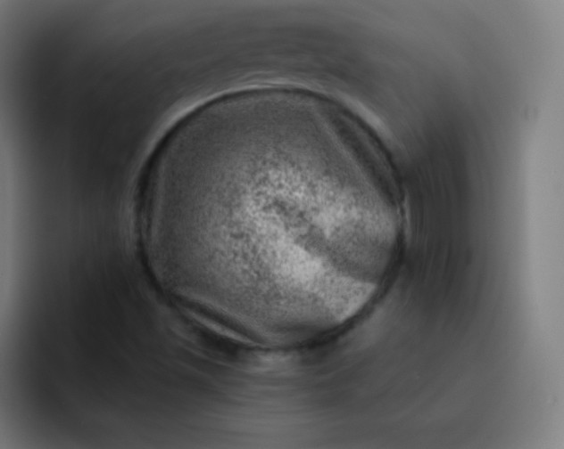 X0000093211501200710101316