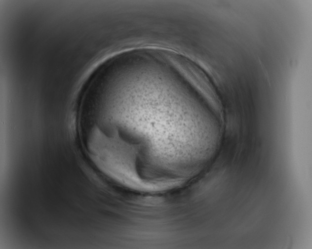 X0000093211503200710101316