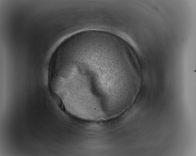 X0000093211504200710101317