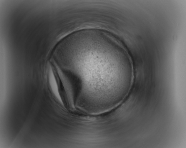 X0000093211505200710101317