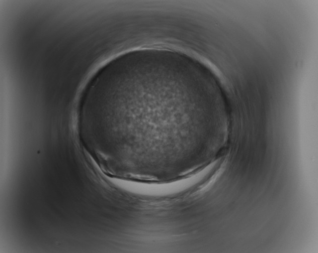 X0000093211506200710101317