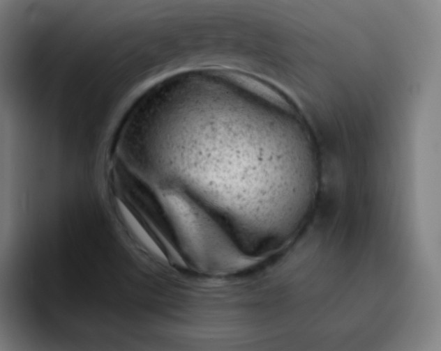 X0000093211507200710101317