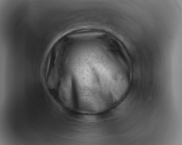 X0000093211509200710101317