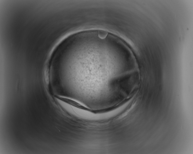 X0000093211510200710101317