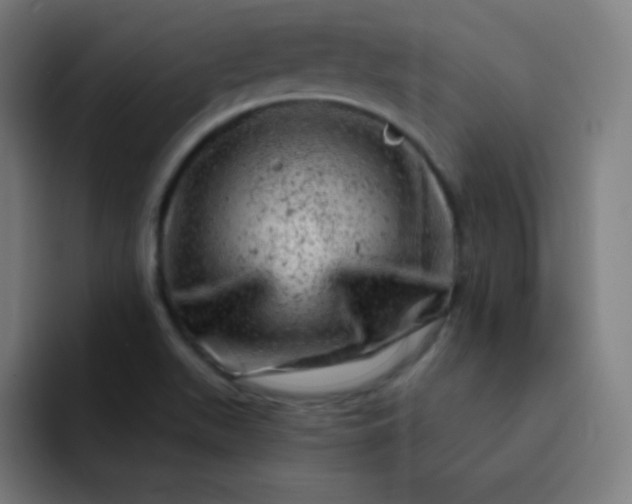 X0000093211511200710101317