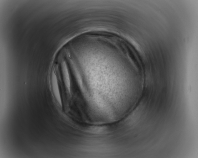 X0000093211513200710101317