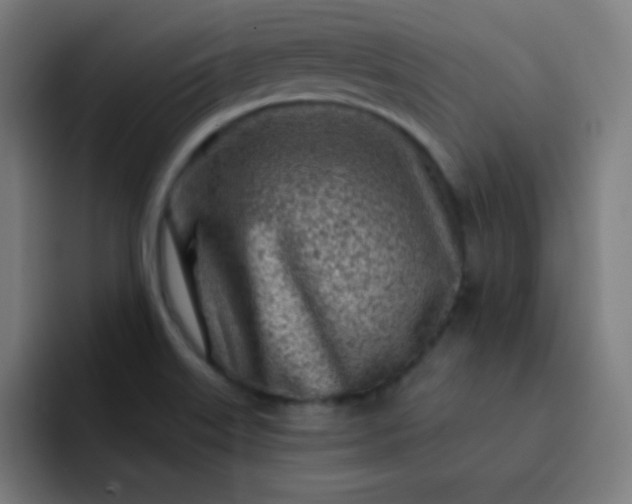 X0000093211515200710101317