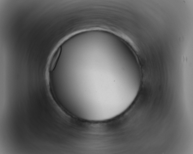 X0000093211516200710101317