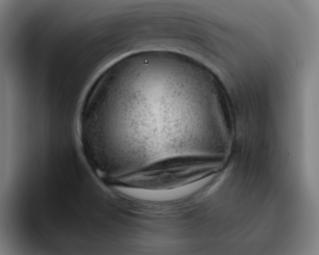 X0000093211517200710101317