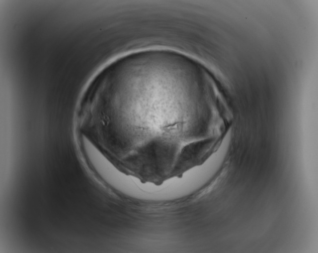 X0000093211518200710101317