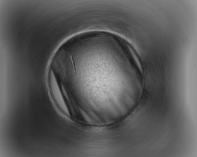 X0000093211519200710101317