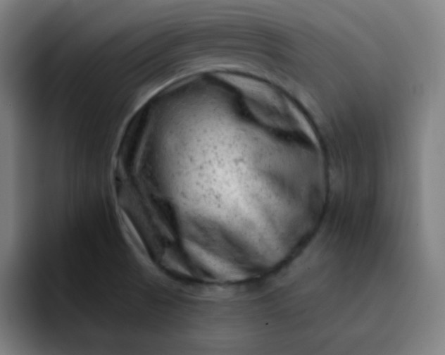 X0000093211521200710101317