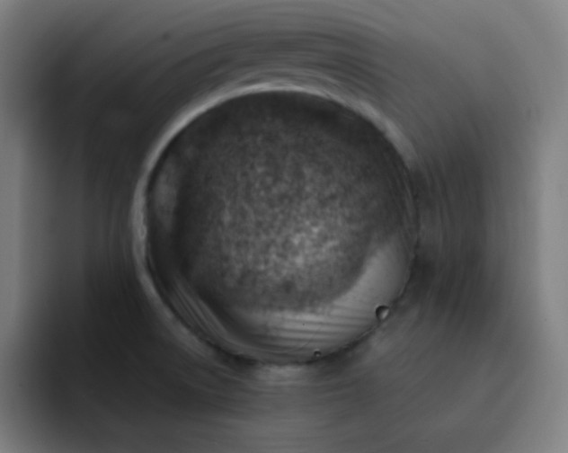 X0000093211522200710101317