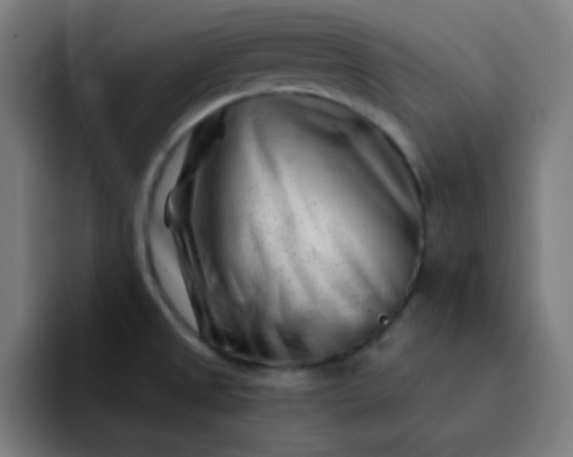 X0000093211525200710101317