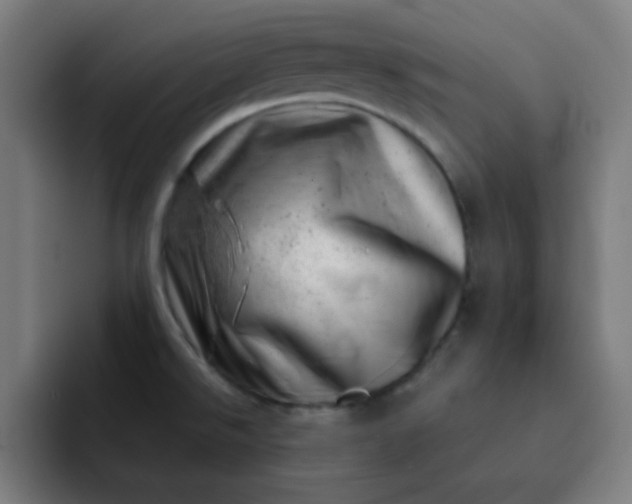 X0000093211526200710101317