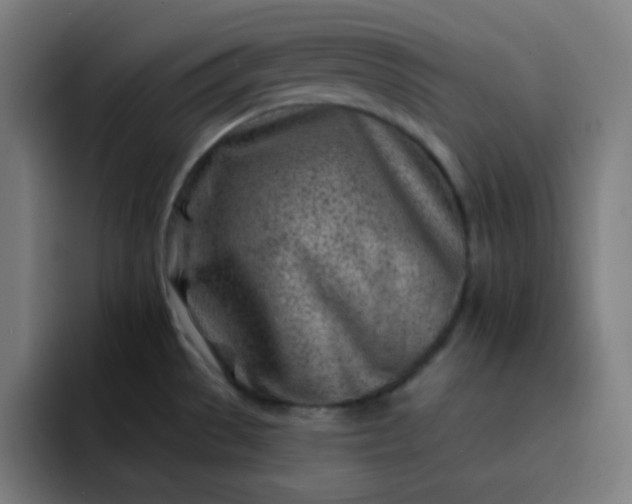 X0000093211529200710101317