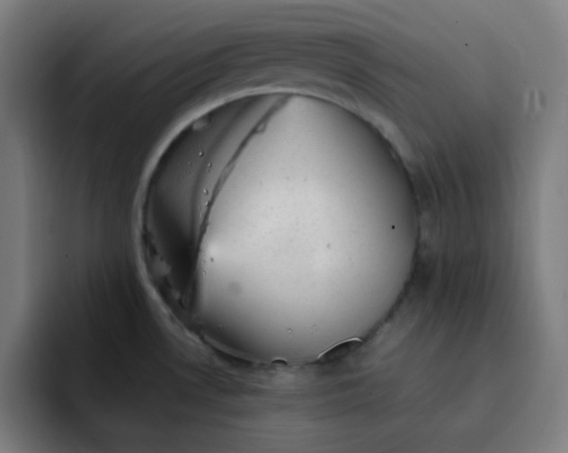 X0000093211530200710101317