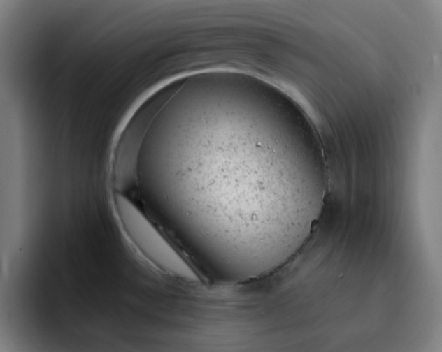 X0000093211532200710101317