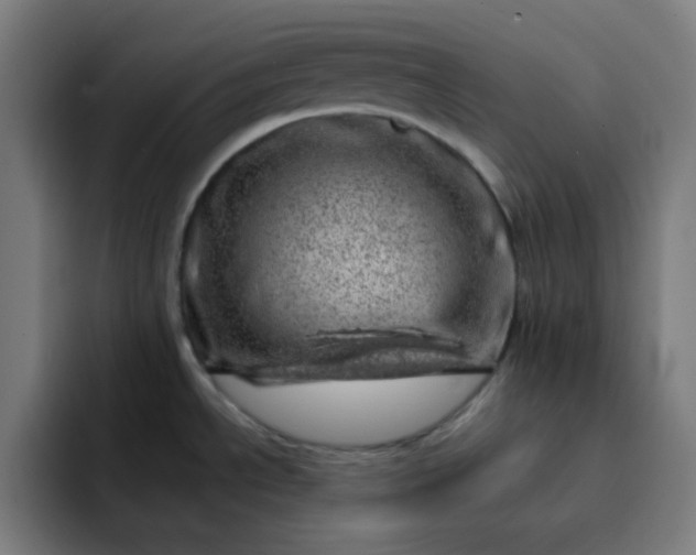 X0000093211534200710101317