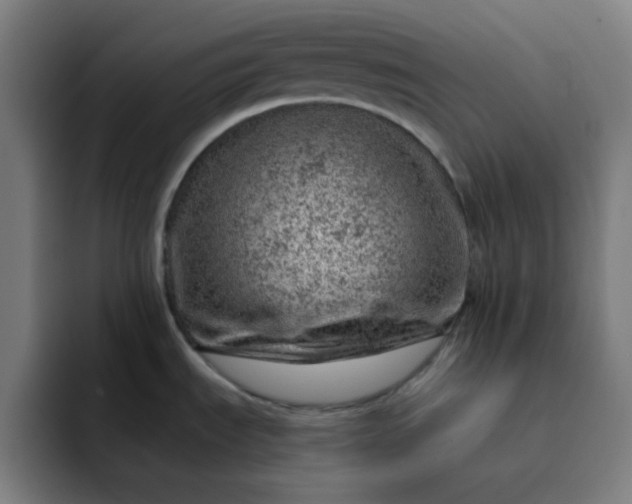 X0000093211535200710101317