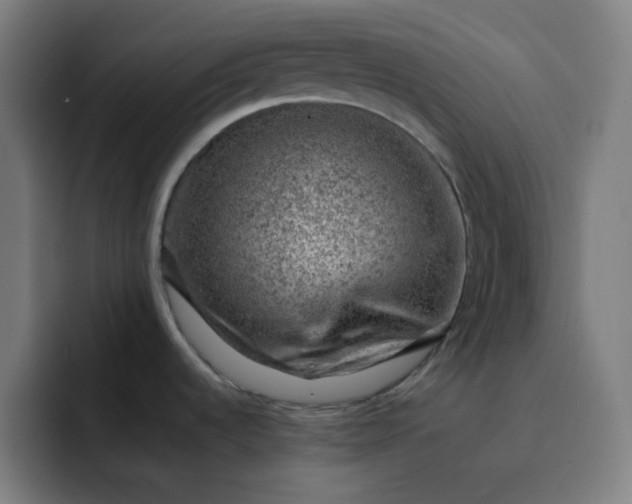 X0000093211536200710101317