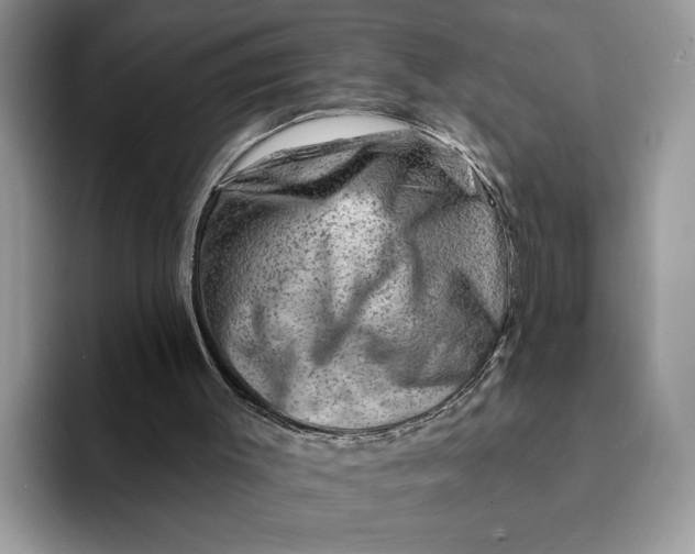 X0000093210003200710171349