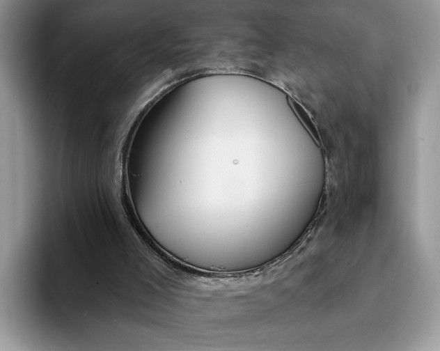 X0000093210005200710171349