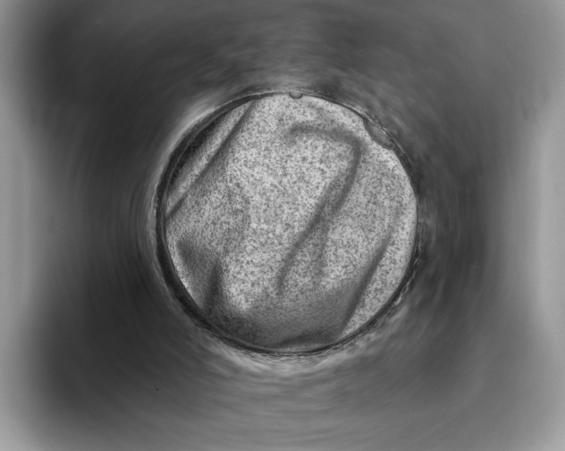 X0000093210006200710171349