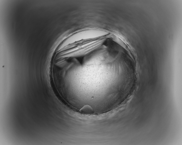 X0000093210007200710171349