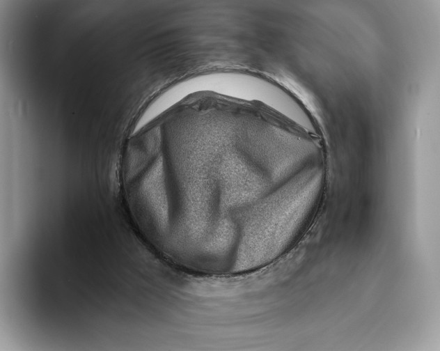 X0000093210009200710171349