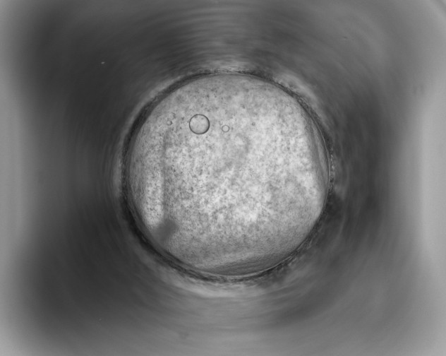 X0000093210012200710171349