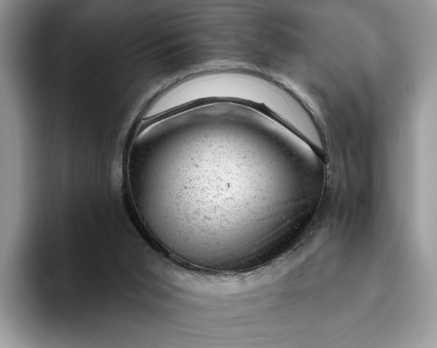 X0000093210015200710171349