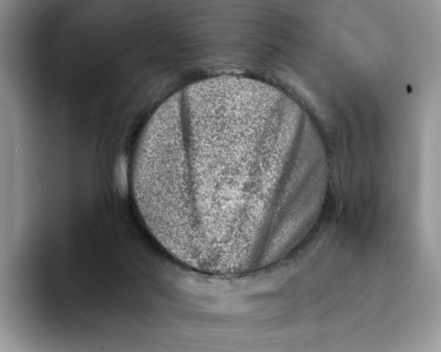 X0000093210022200710171349