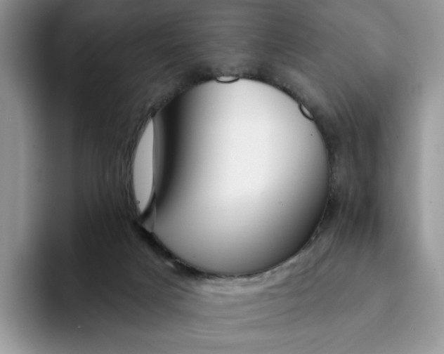 X0000093210025200710171349