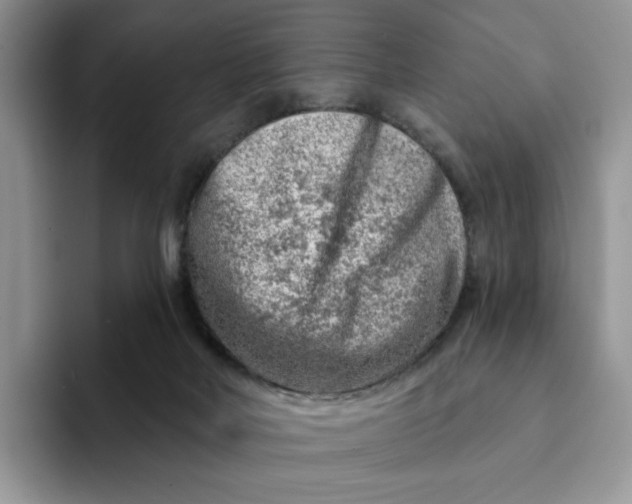 X0000093210026200710171349