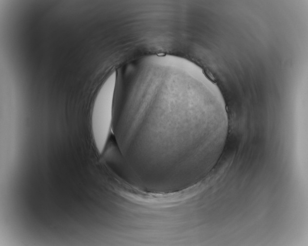 X0000093210027200710171349