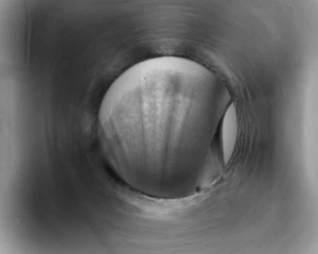 X0000093210031200710171349