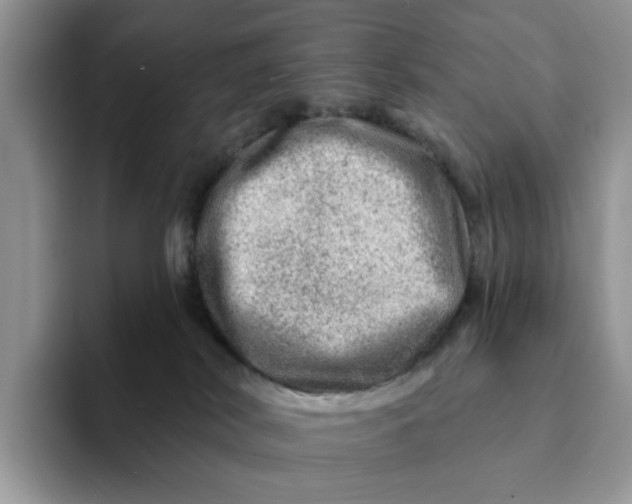 X0000093210038200710171349