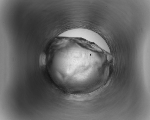 X0000093210041200710171349