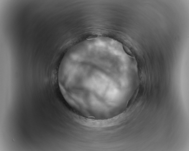 X0000093210043200710171349