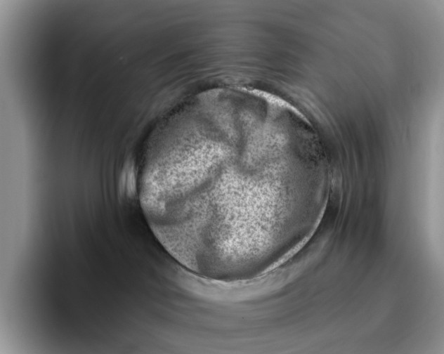 X0000093210046200710171349